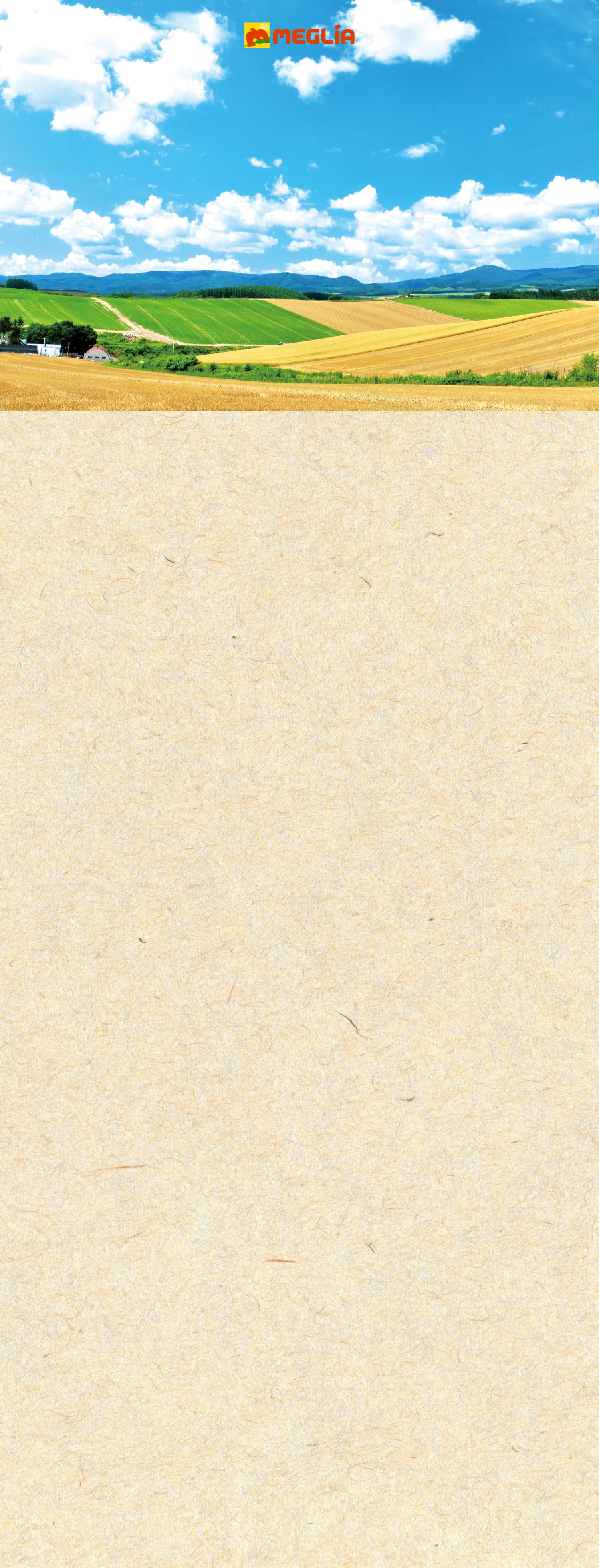 メグリアの恵方巻 今年の恵方は南南東